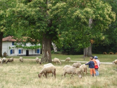 Parc naturel régional des Landes de Gascogne Image 7