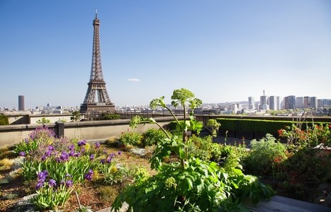 Paris lance ses Assises du Tourisme Durable 2021 Image 1